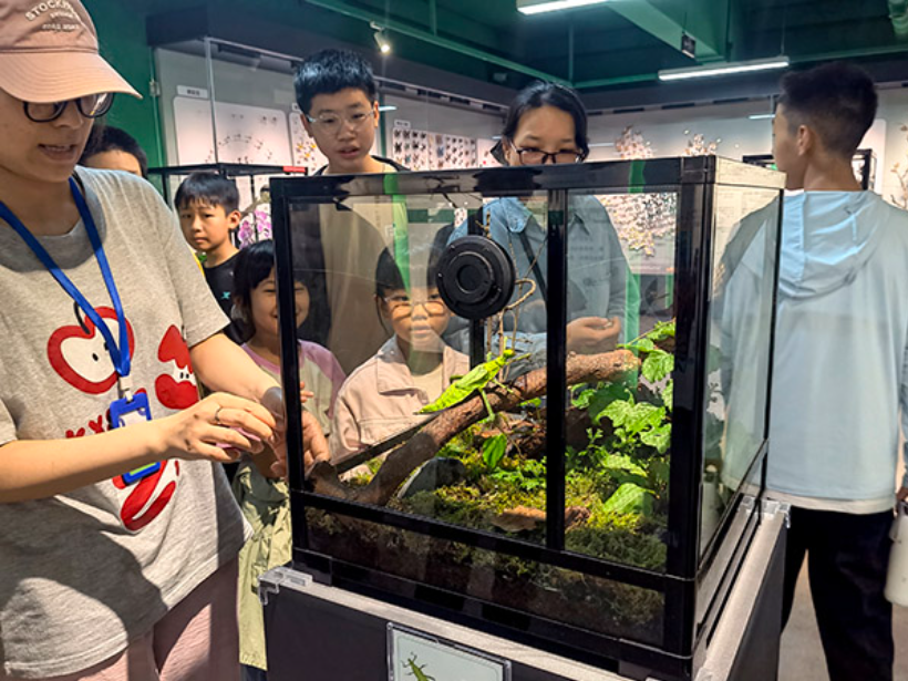 电子游戏app下载安装