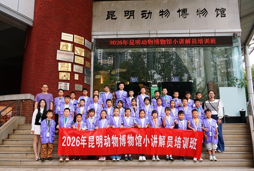电子游戏app下载安装