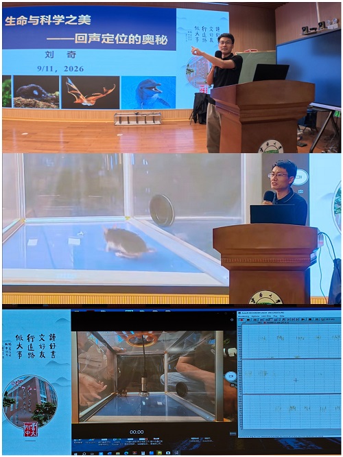 电子游戏app下载安装