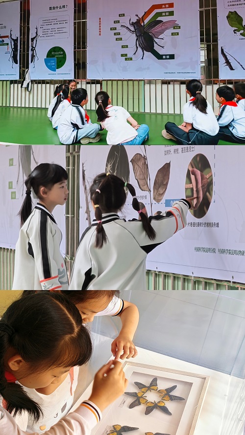 电子游戏app下载安装