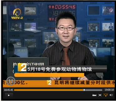 电子游戏app下载安装