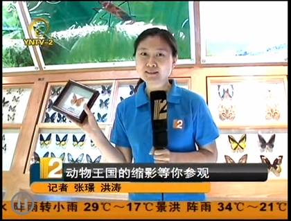 电子游戏app下载安装