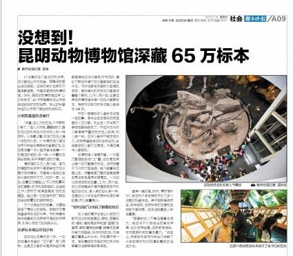 电子游戏app下载安装