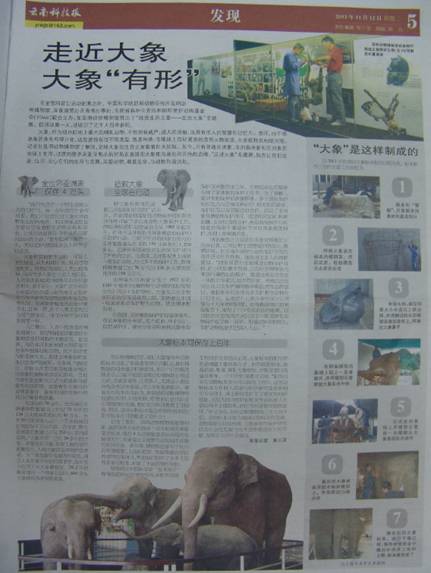 电子游戏app下载安装