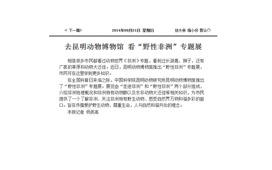 电子游戏app下载安装