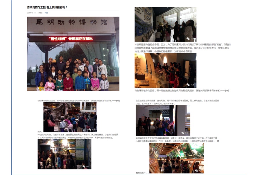 电子游戏app下载安装