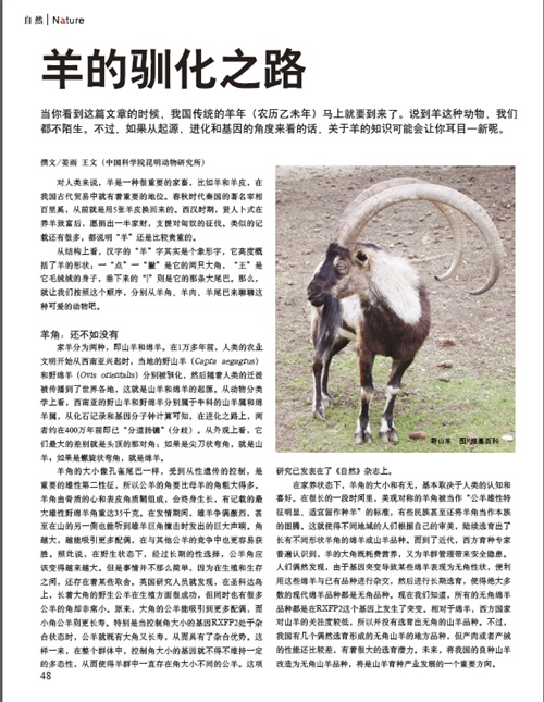 电子游戏app下载安装