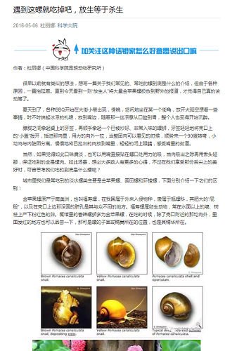 电子游戏app下载安装