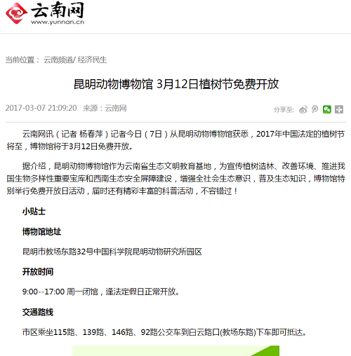 电子游戏app下载安装