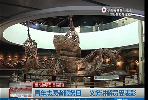 电子游戏app下载安装