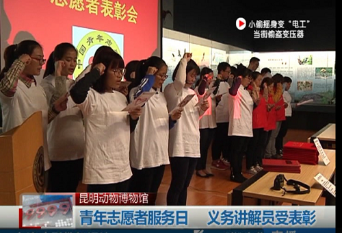 电子游戏app下载安装