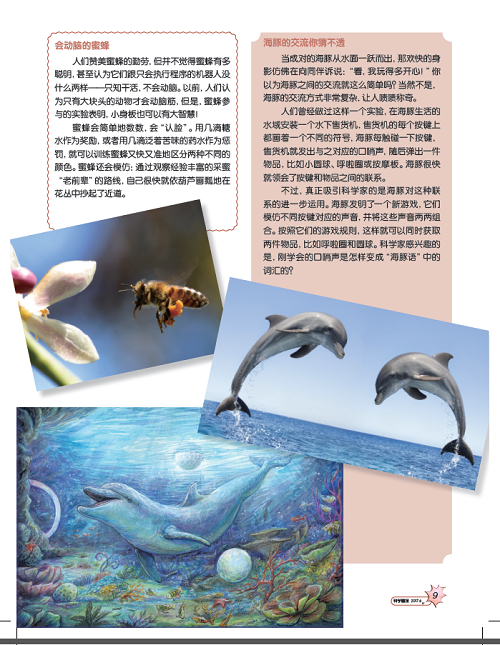 电子游戏app下载安装