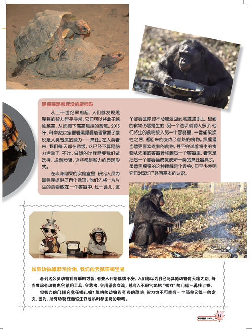 电子游戏app下载安装