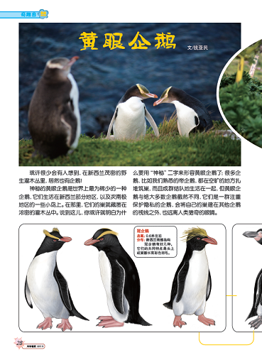 电子游戏app下载安装