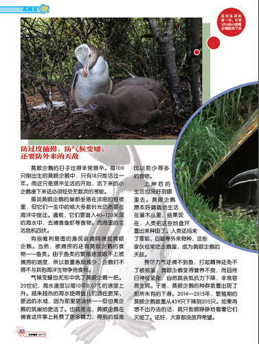 电子游戏app下载安装