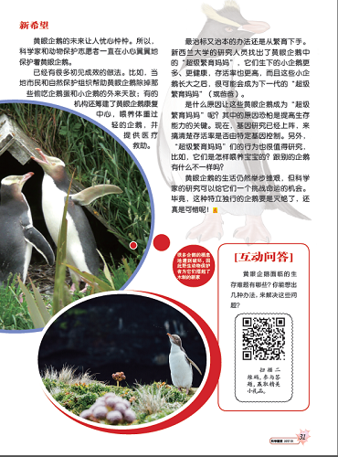 电子游戏app下载安装