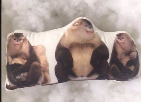 电子游戏app下载安装