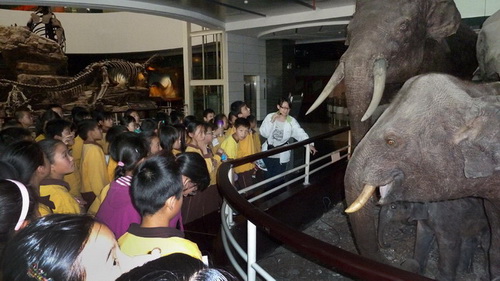 电子游戏app下载安装