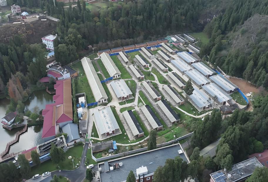 电子游戏app下载安装