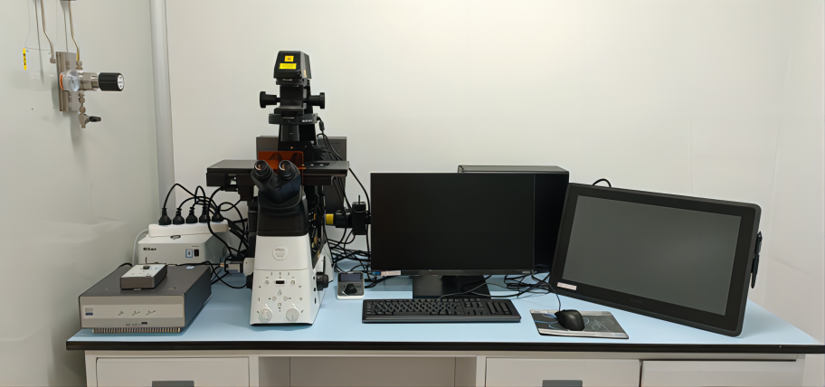 电子游戏app下载安装