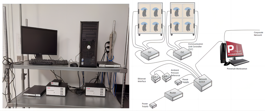 电子游戏app下载安装