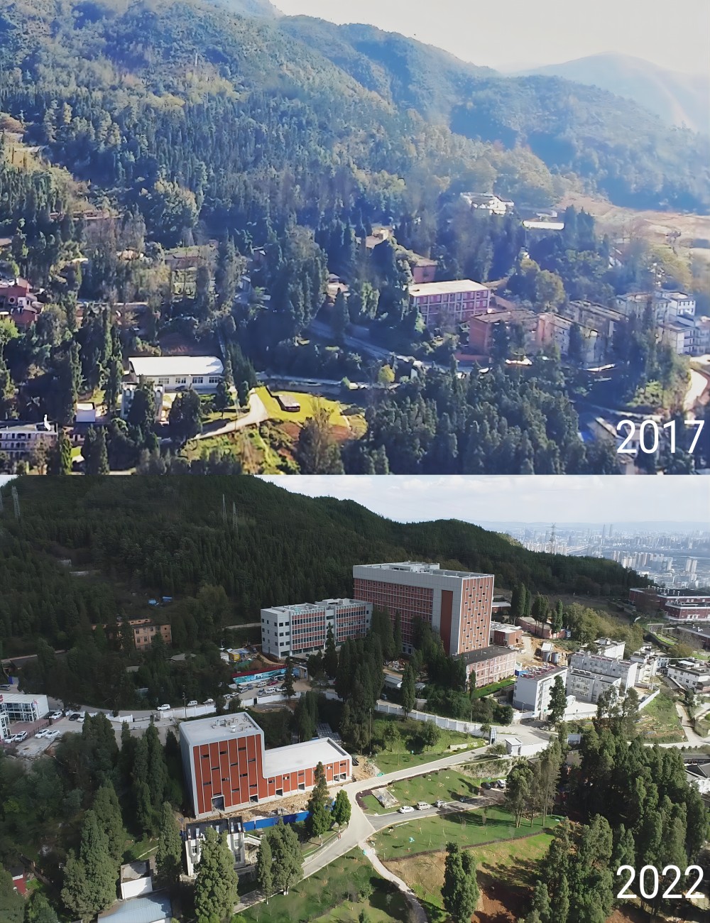 电子游戏app下载安装