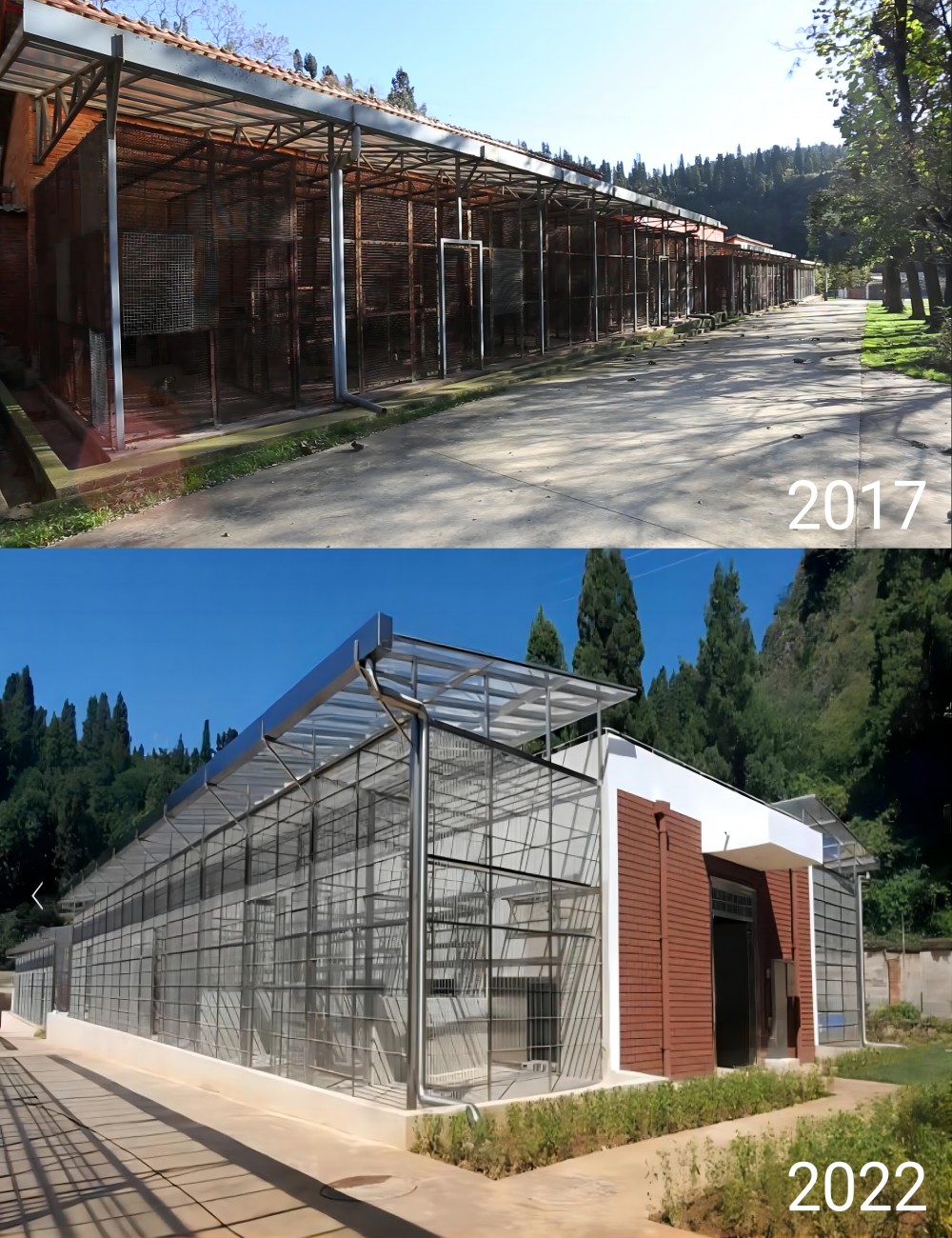 电子游戏app下载安装