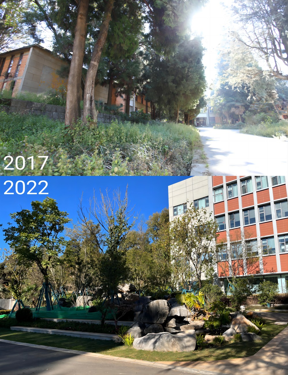 电子游戏app下载安装