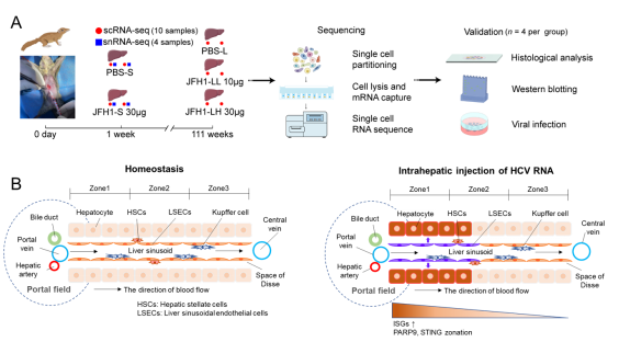 电子游戏app下载安装