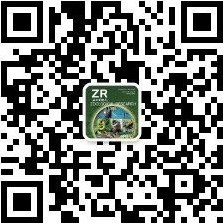 电子游戏app下载安装