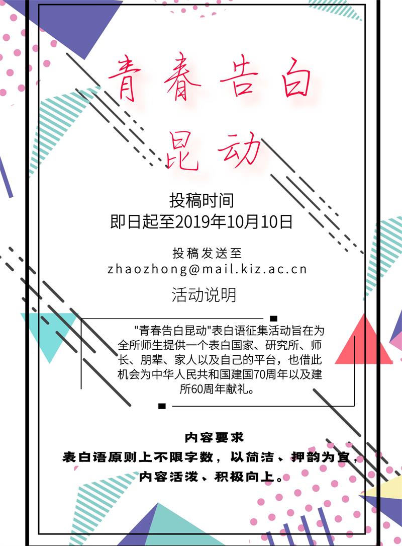 电子游戏app下载安装