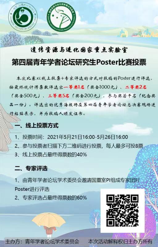 电子游戏app下载安装