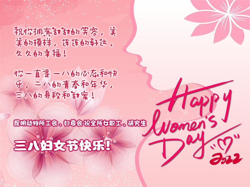 电子游戏app下载安装