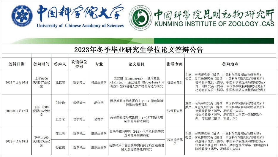 电子游戏app下载安装