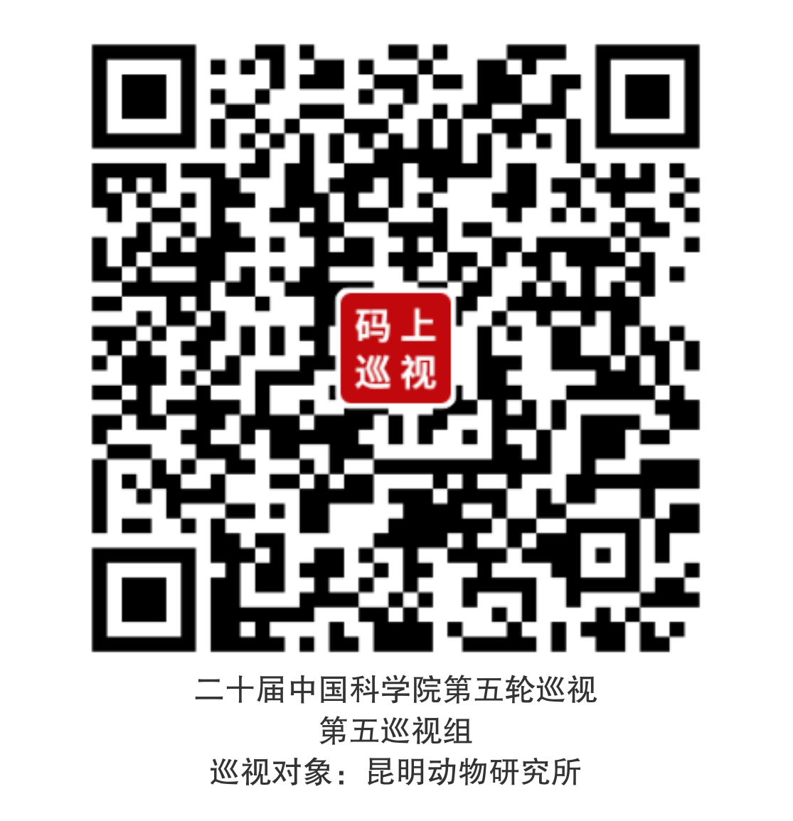 电子游戏app下载安装