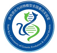 电子游戏app下载安装