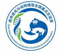 电子游戏app下载安装