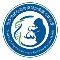 电子游戏app下载安装