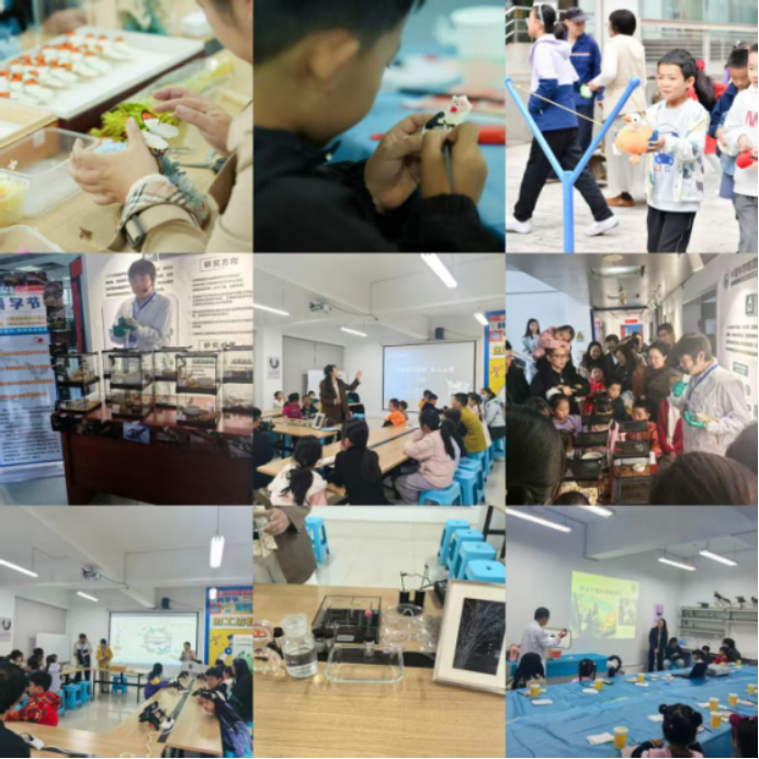 电子游戏app下载安装