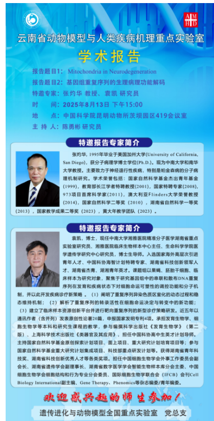 电子游戏app下载安装