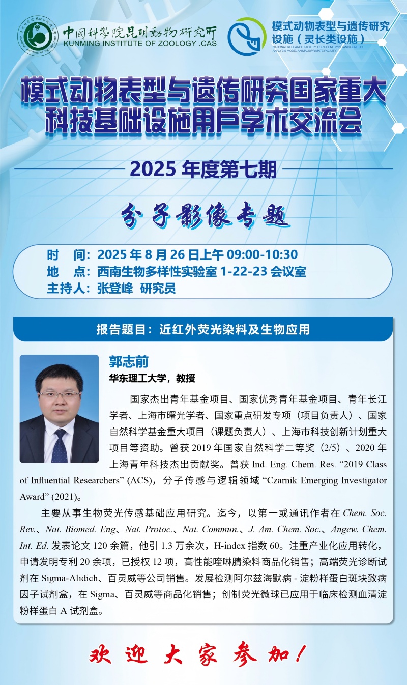 电子游戏app下载安装