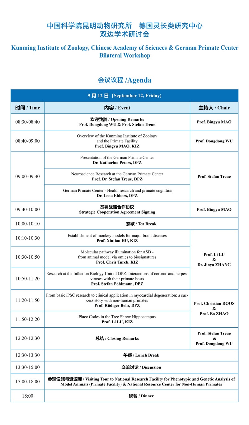 电子游戏app下载安装