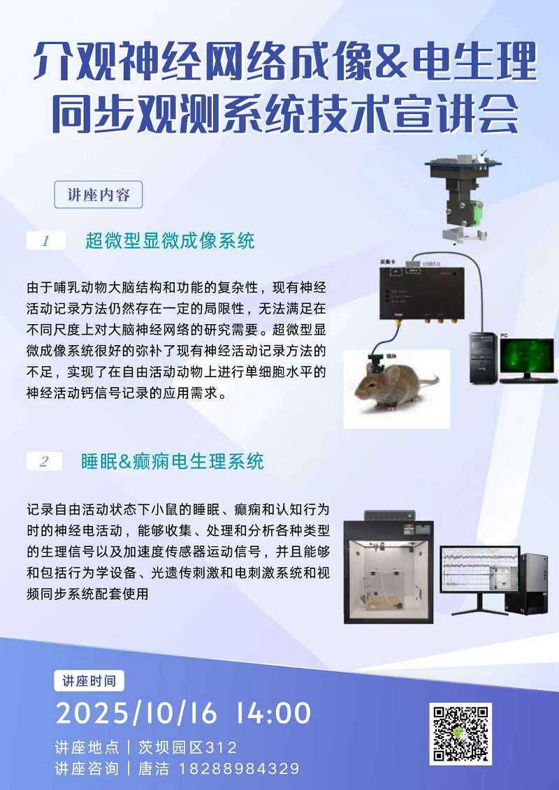 电子游戏app下载安装