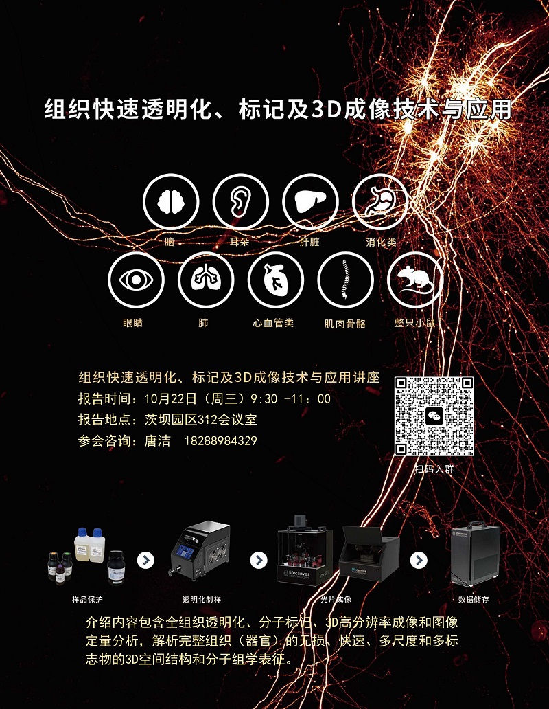 电子游戏app下载安装