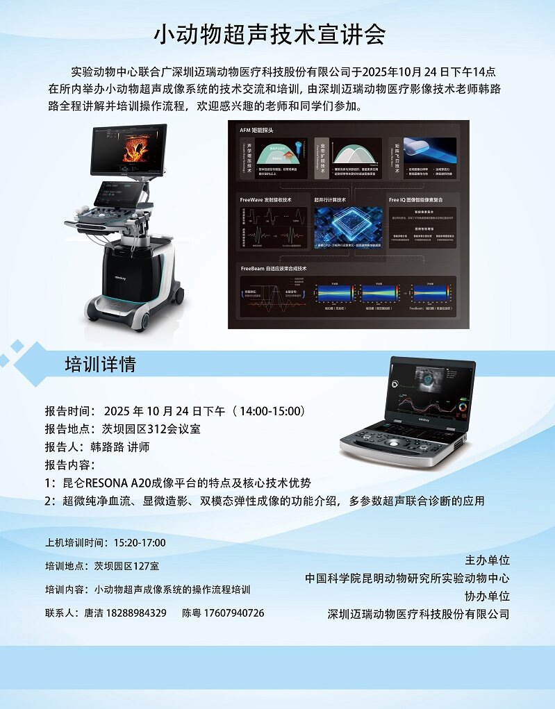 电子游戏app下载安装