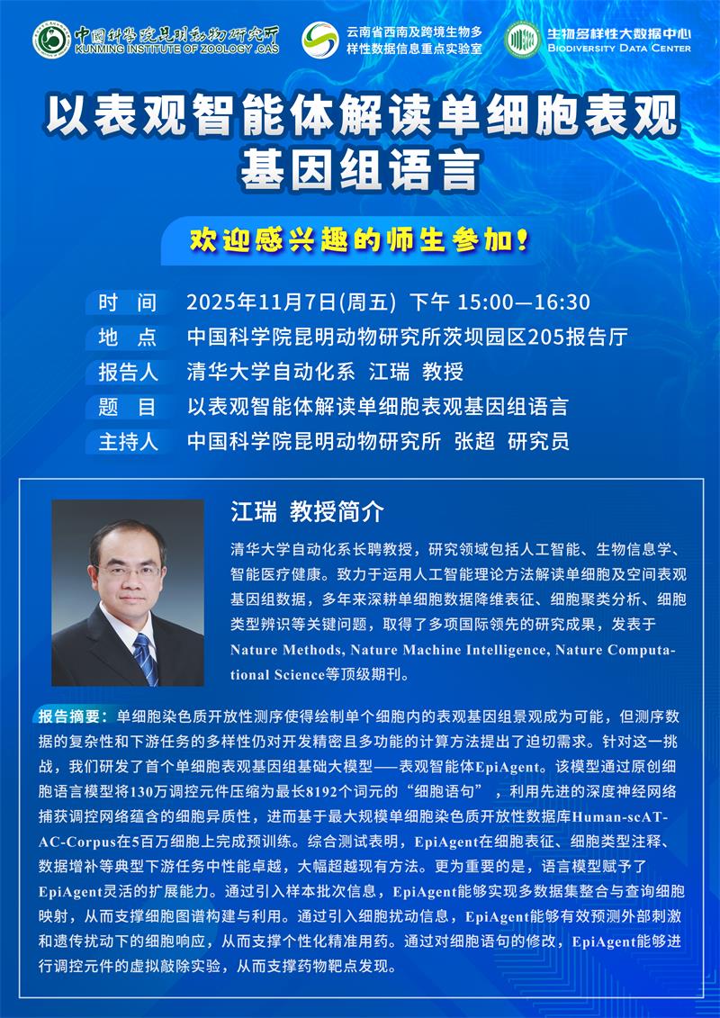 电子游戏app下载安装