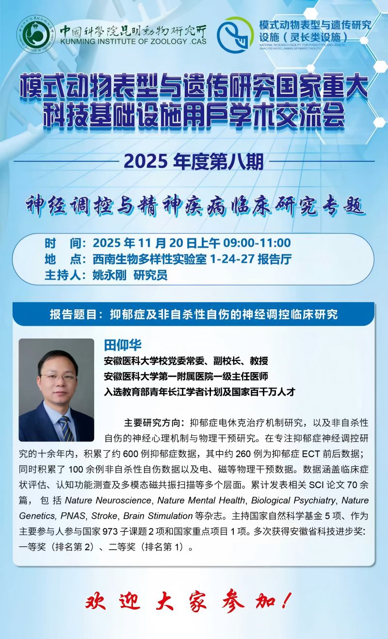 电子游戏app下载安装