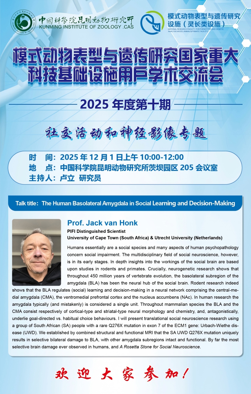 电子游戏app下载安装