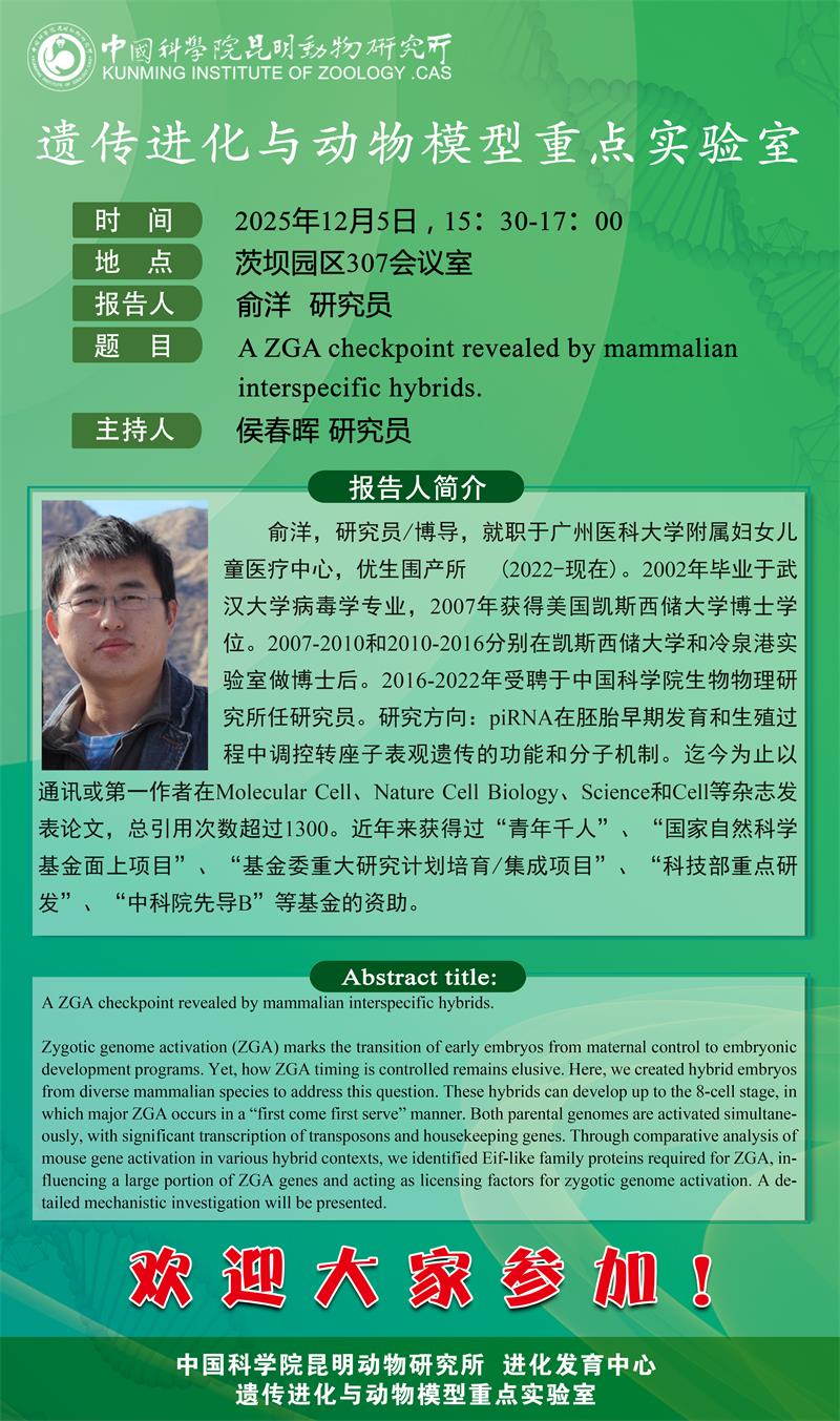 电子游戏app下载安装