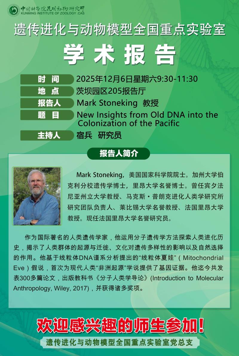 电子游戏app下载安装